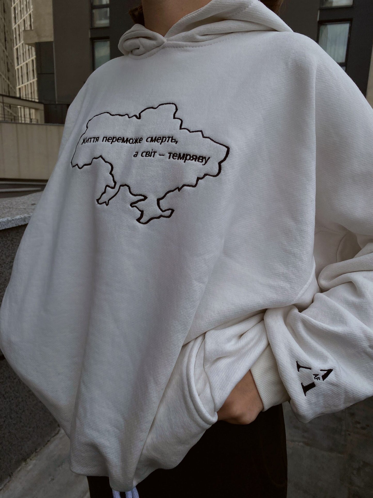 Hoodie with embroidery