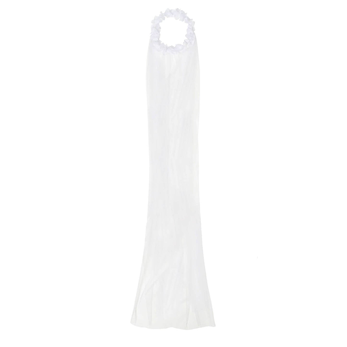 Veil 1