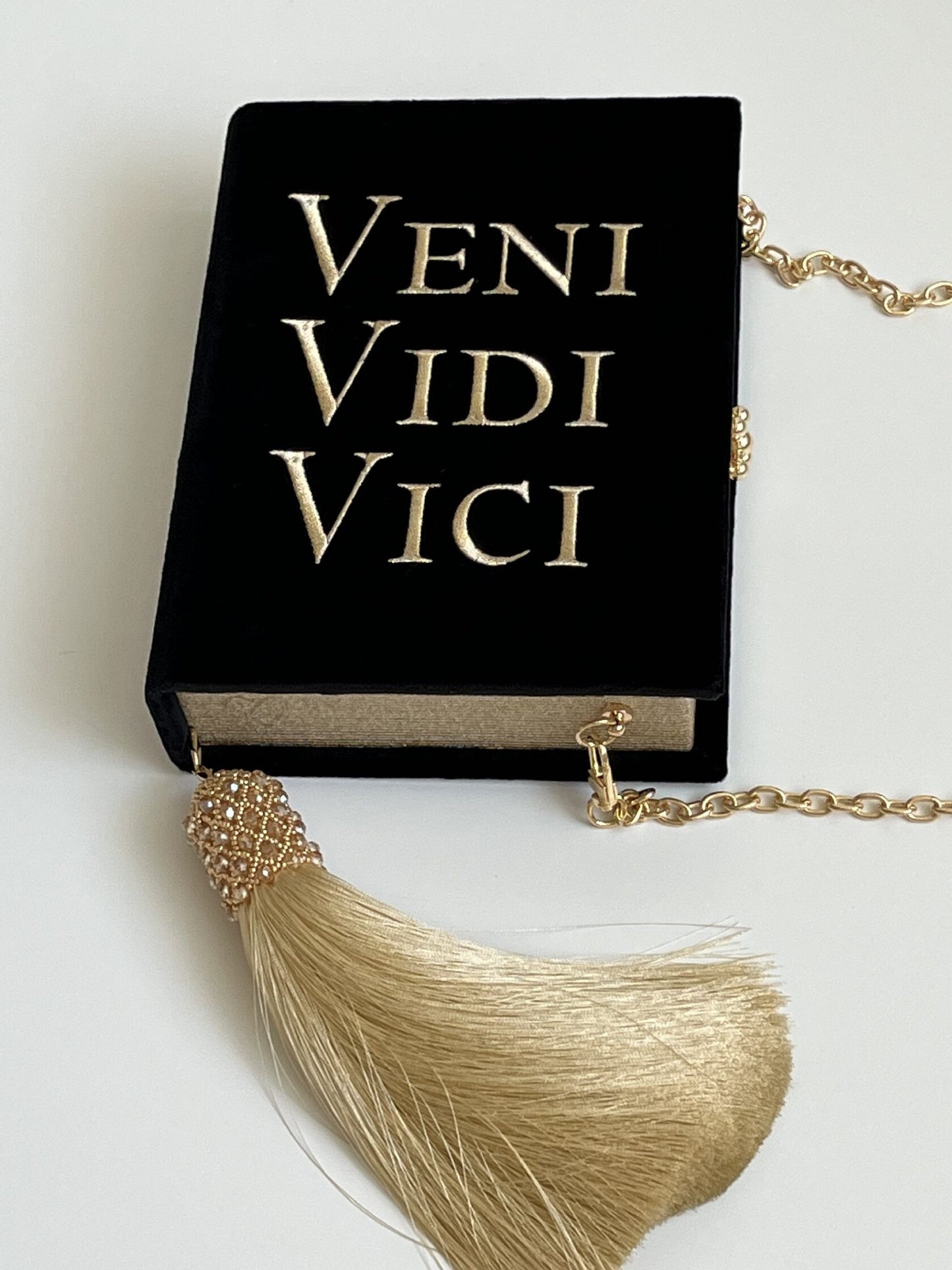 Embroidered clutch Veni Vidi Vici