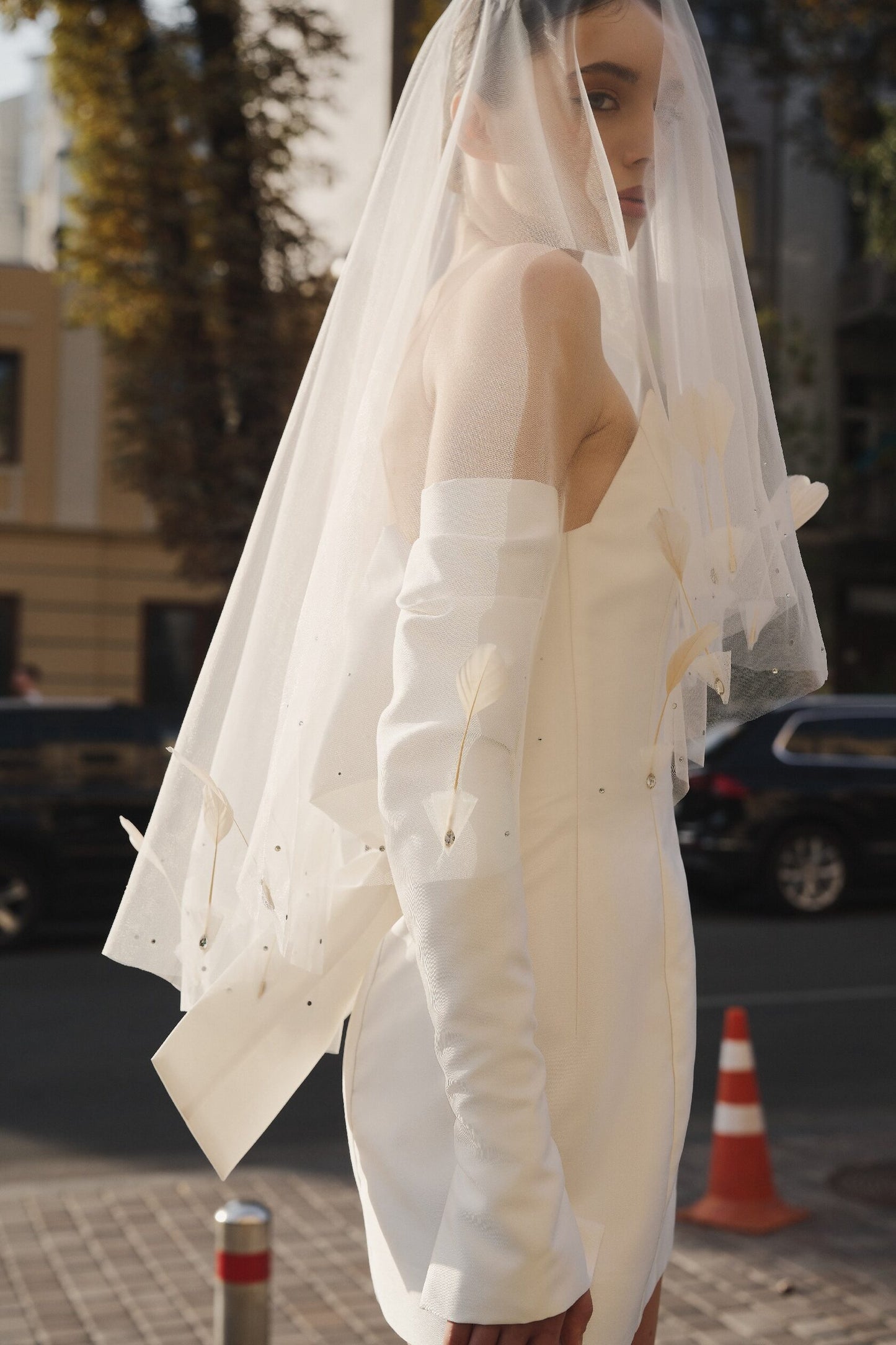MINNIE veil