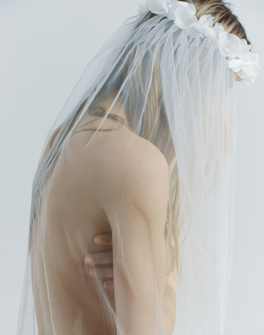 Veil 1