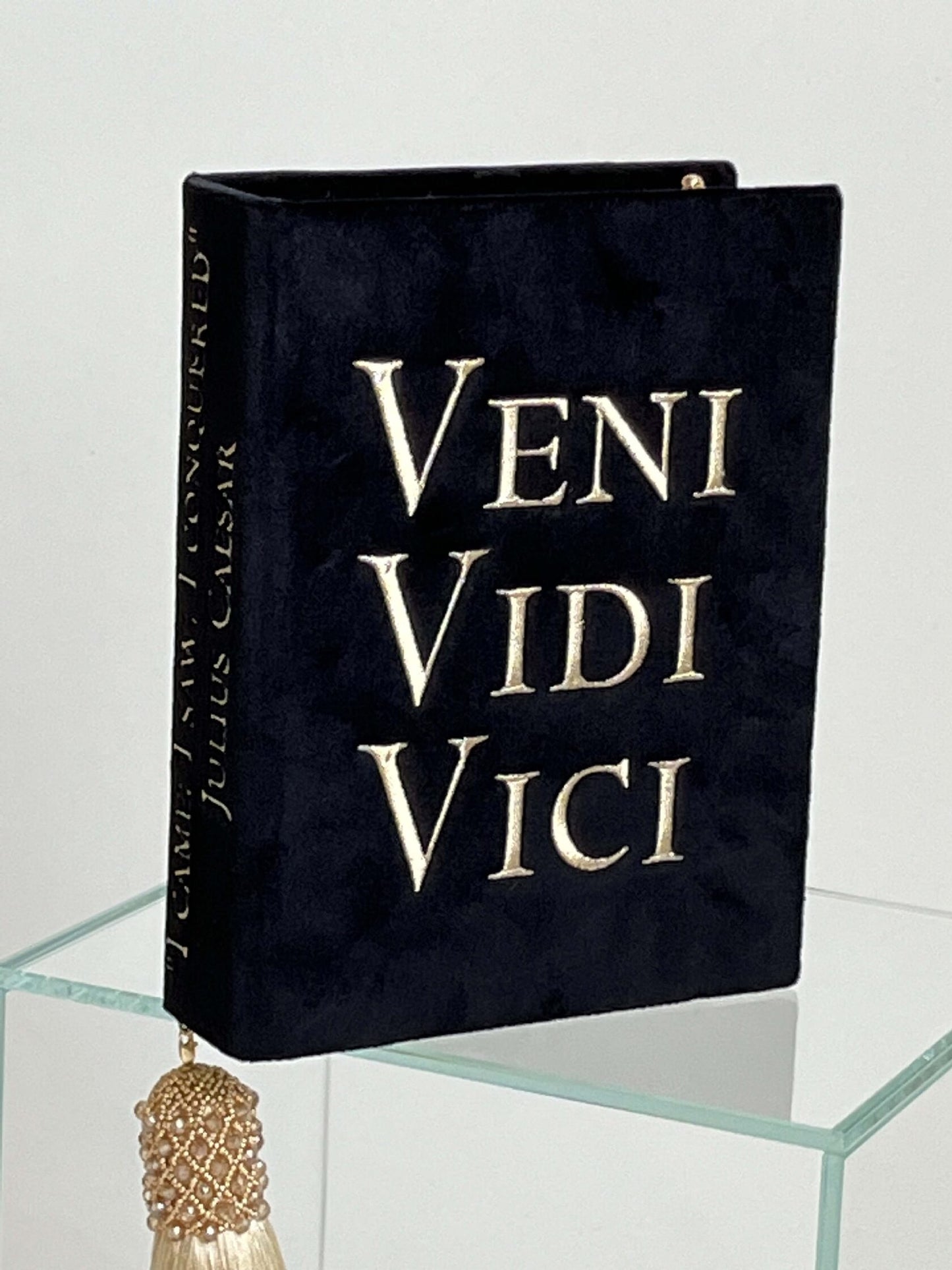 Embroidered clutch Veni Vidi Vici